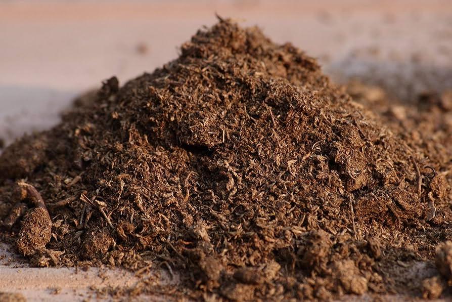 Benefits of Using Peat Moss-Enriched Soil
