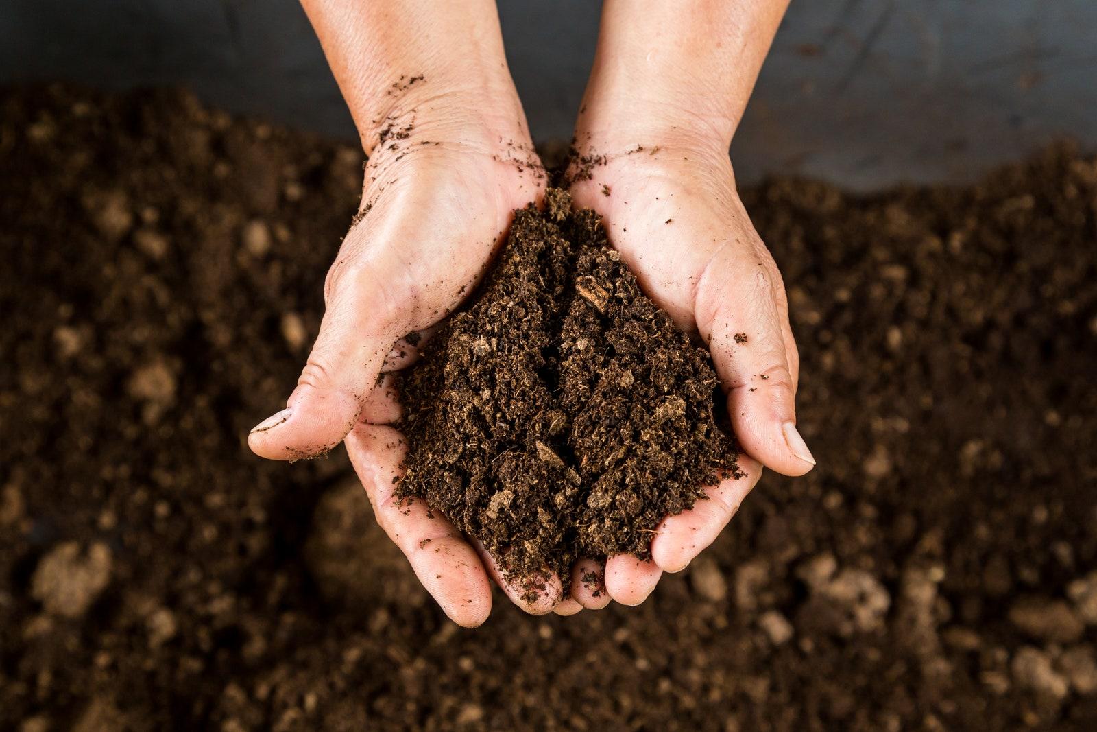 Tips for Successfully⁣ Incorporating Peat Moss into Your Garden
